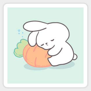 Cute Bunny, sleeping rabbit, sleepy bunny Sticker